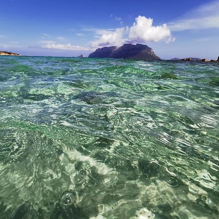 Appartamento Da Wanna Olbia Dış mekan fotoğraf