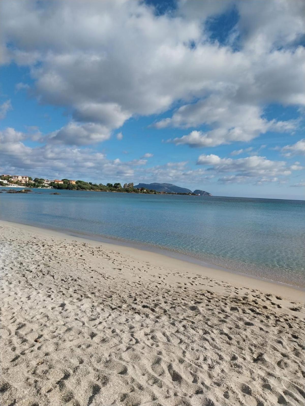 Appartamento Da Wanna Olbia Dış mekan fotoğraf
