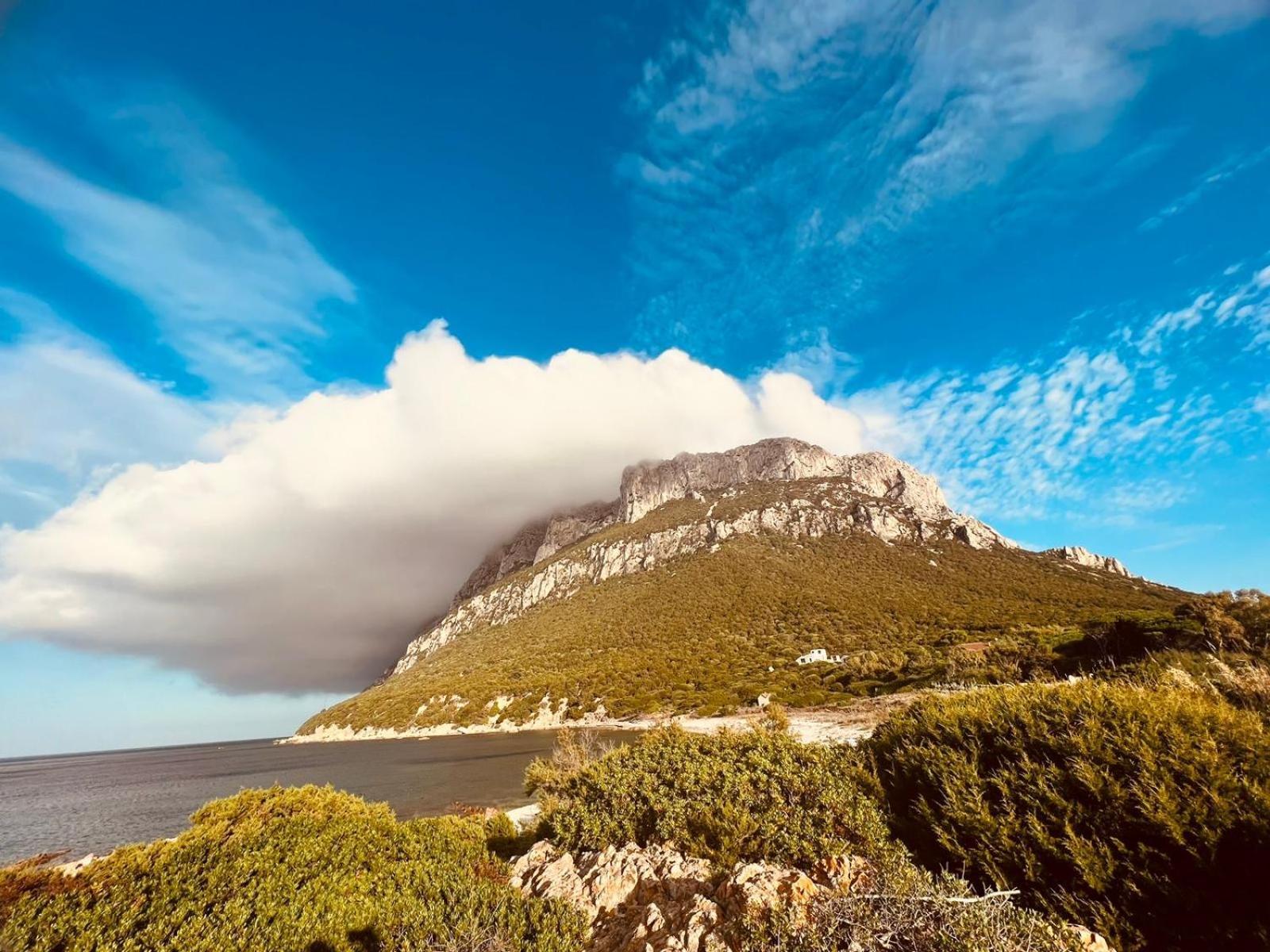 Appartamento Da Wanna Olbia Dış mekan fotoğraf