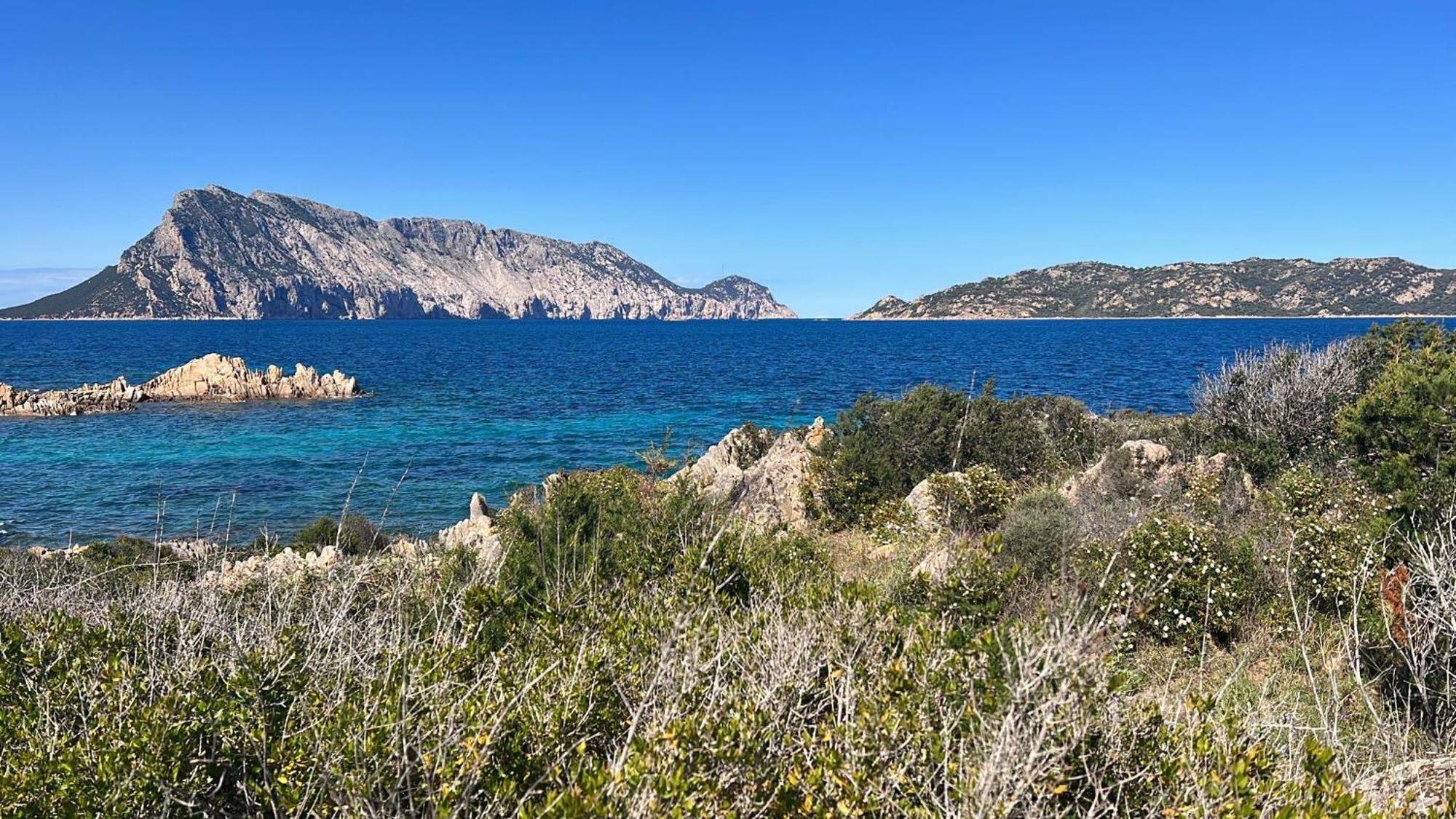 Appartamento Da Wanna Olbia Dış mekan fotoğraf