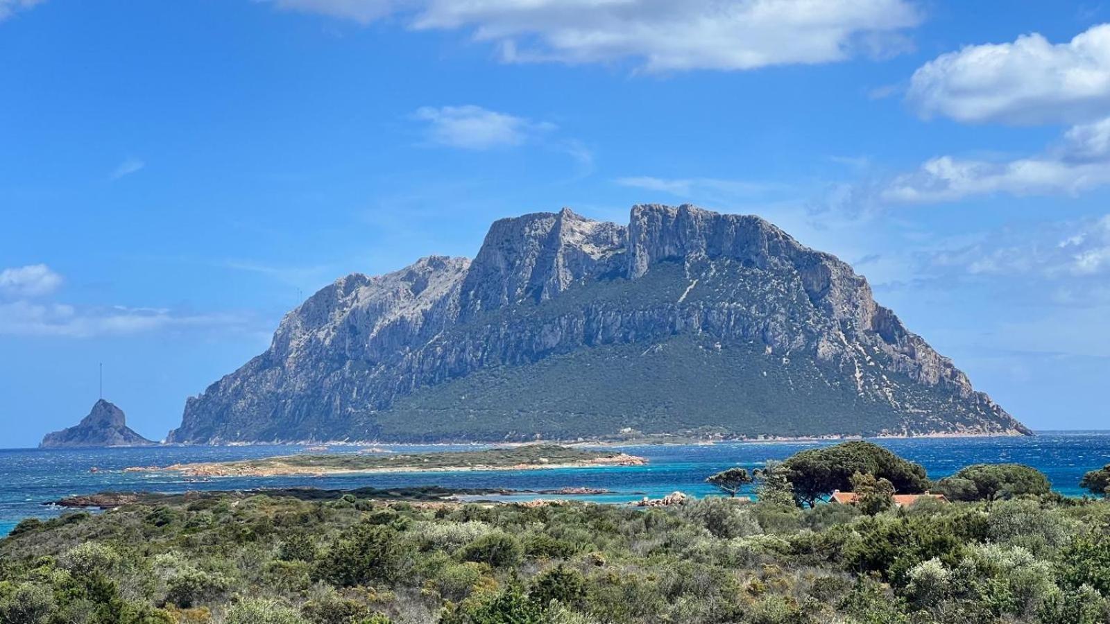 Appartamento Da Wanna Olbia Dış mekan fotoğraf