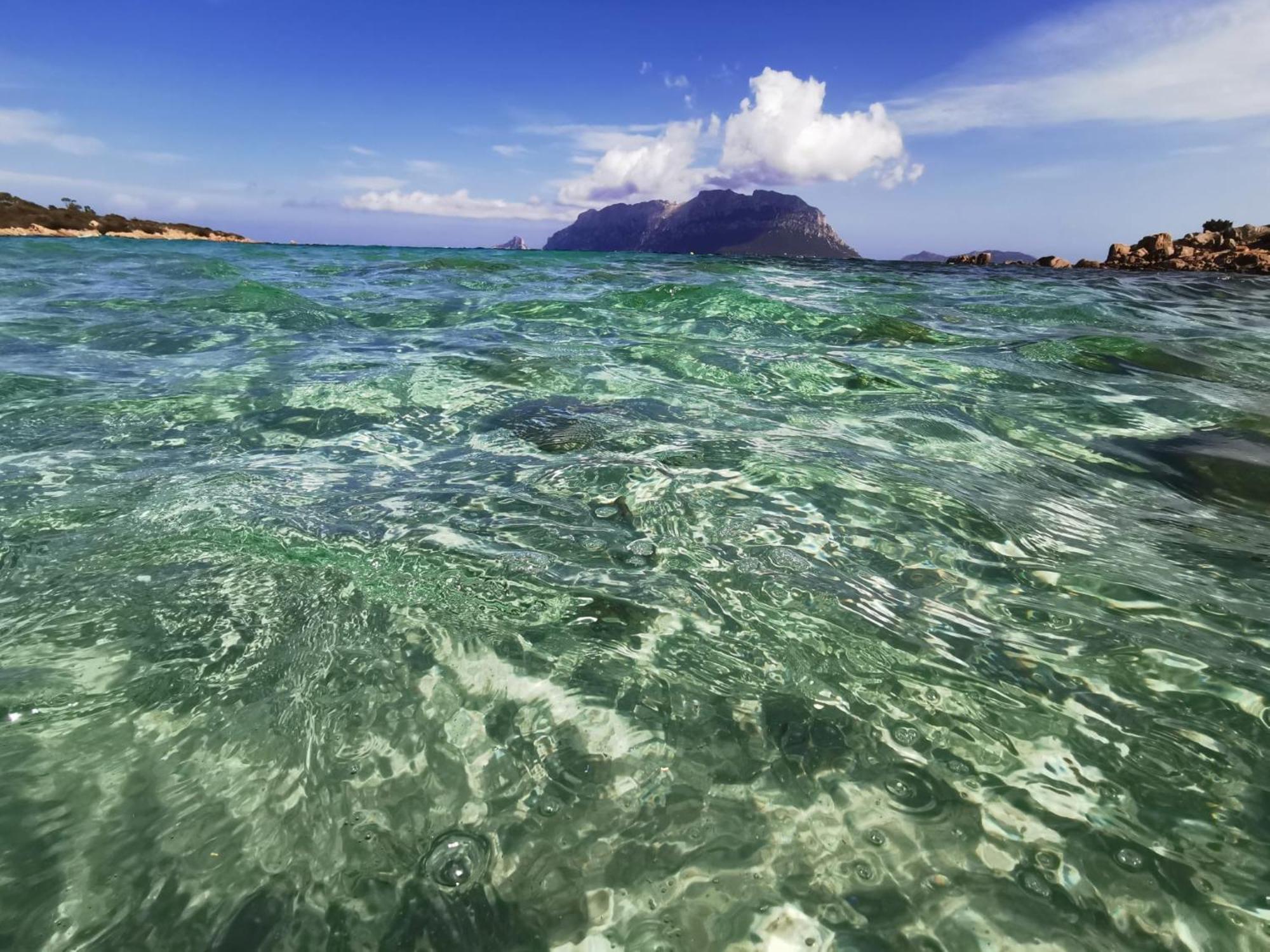Appartamento Da Wanna Olbia Dış mekan fotoğraf